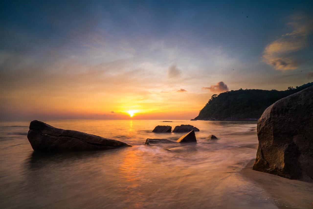 Вілла 1511 Coconut Grove Kampong Juara Екстер'єр фото